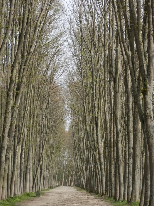 allée du Levant, vue générale