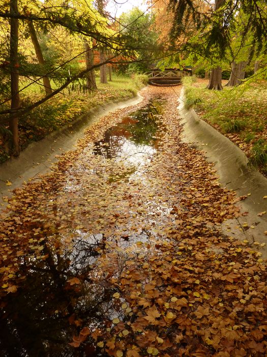 Domaine de la Malmaison : Rivière anglaise, vue partielle