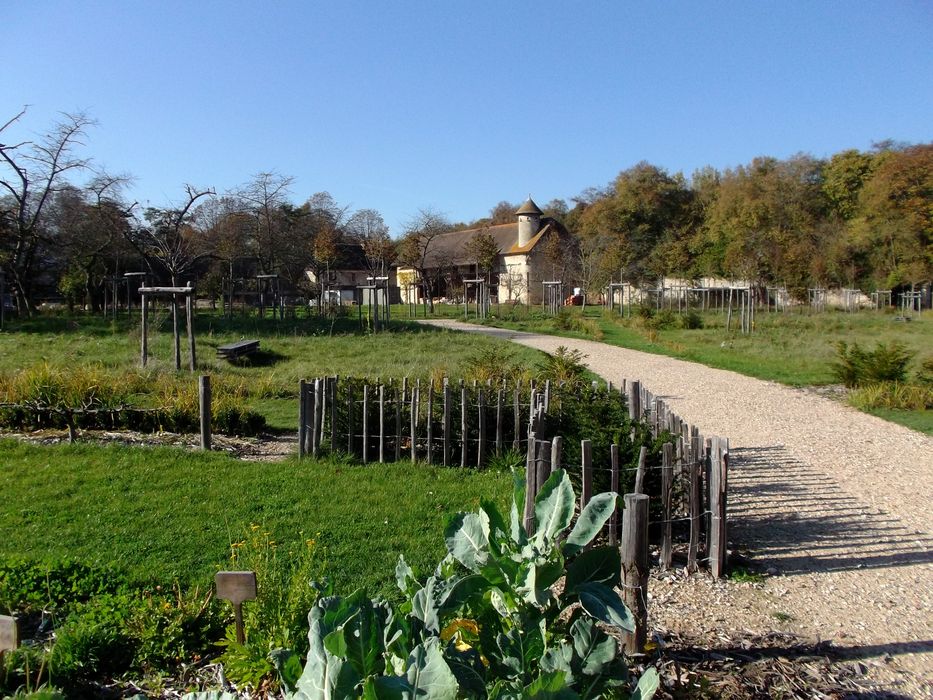 Parc de l’Abbaye de Royaumont : Potager, vue partielle