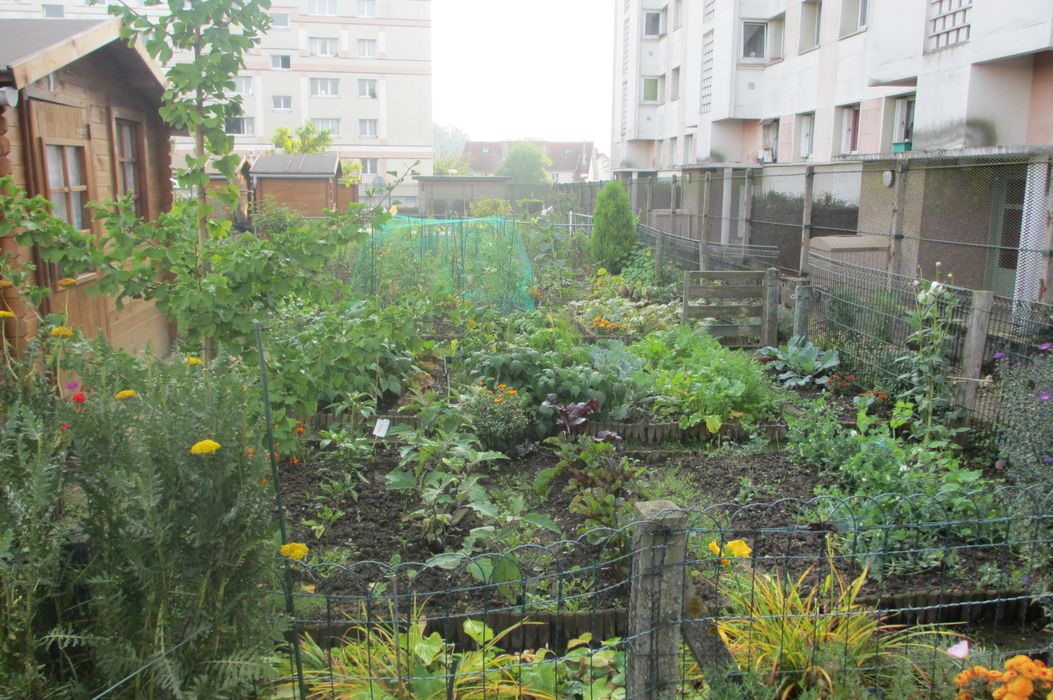 vue général du jardin