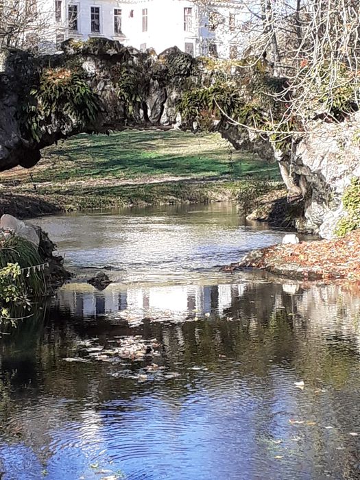 pont de roches