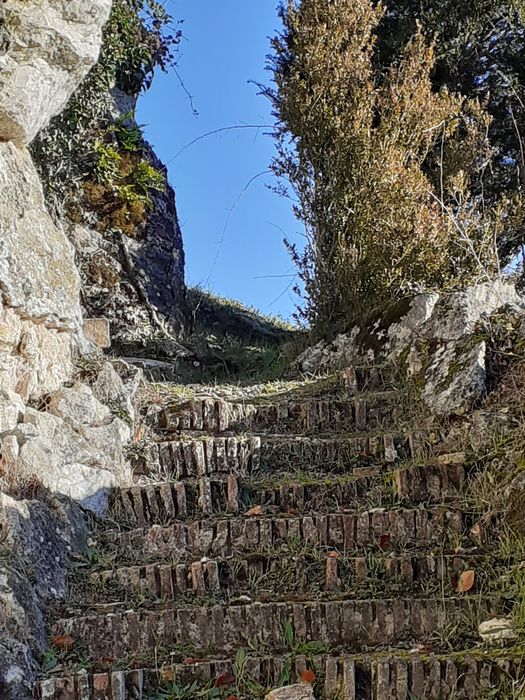 escalier menant au passage couvert