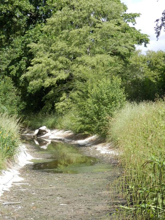 rivière anglaise en partie asséchée