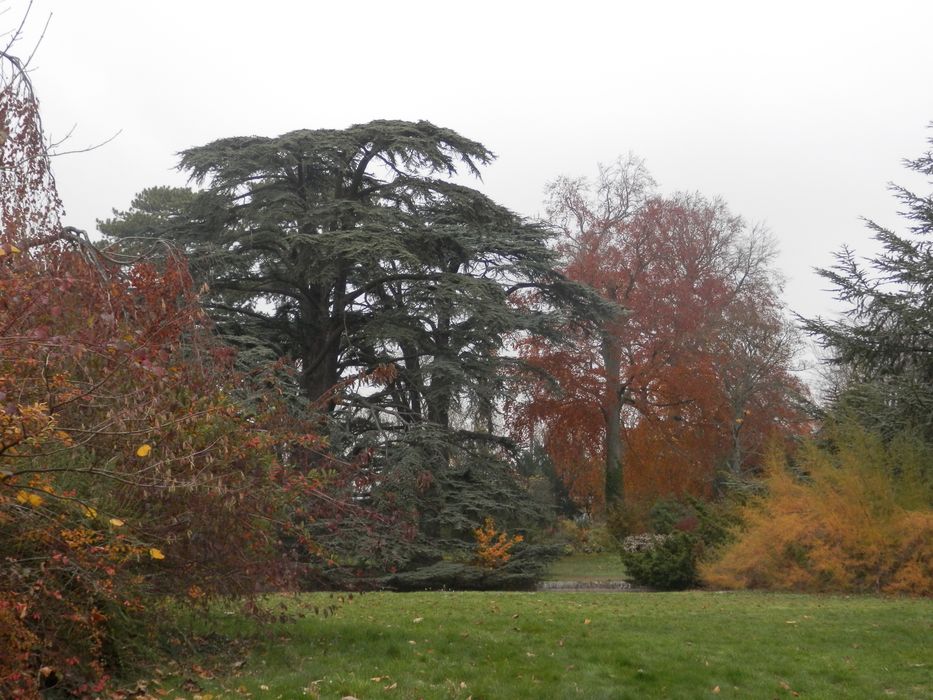 jardin du Trocadéro