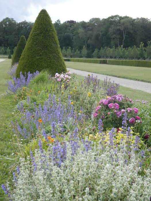 massifs fleuris mixed-borders