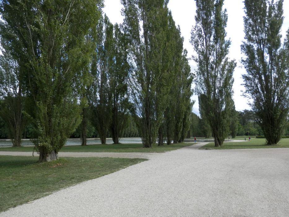 alignement de peupliers à proximité du grand Canal