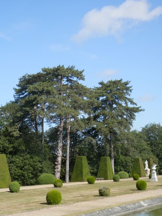 parterre nord et pins Laricio à l’Ouest