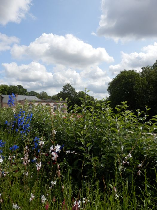 jardin des princes, fleurs