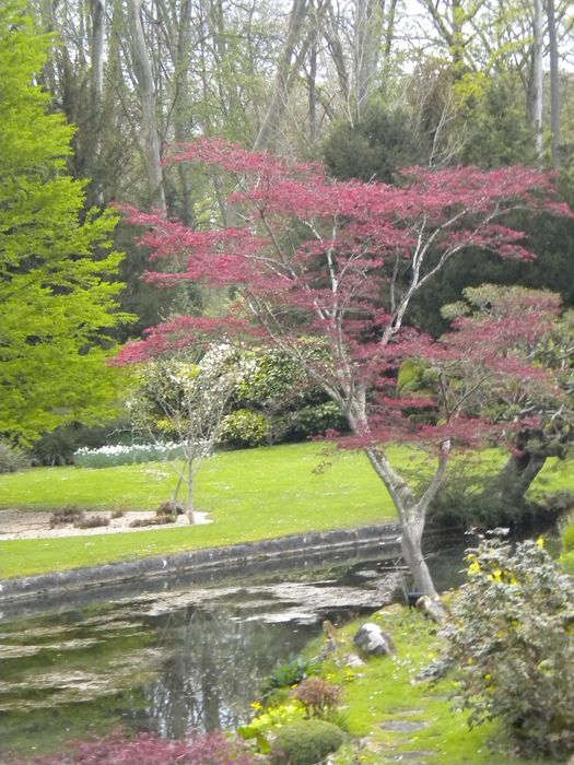 jardin japonais créé par Berthe de Ganay, vue partielle