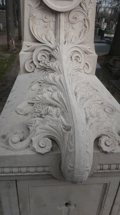 détail de la large tige d’acanthe