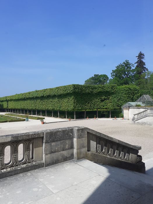 arbres taillés en rideau vus depuis le Grand Trianon