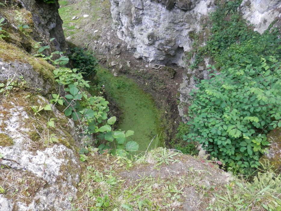 parc, abords de la grande cascade