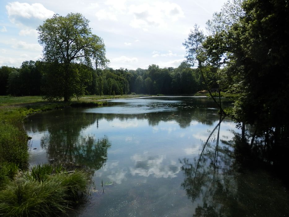 parc, grand lac