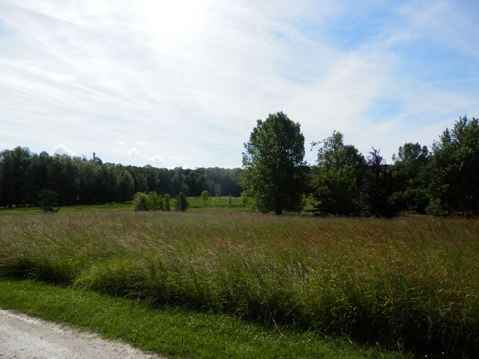 parc, vallée de la Juine depuis le chemin couvert