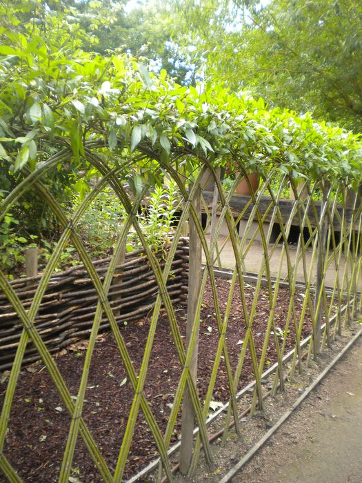 parc de l’abbaye, jardin des neuf carrés, détail des treillages