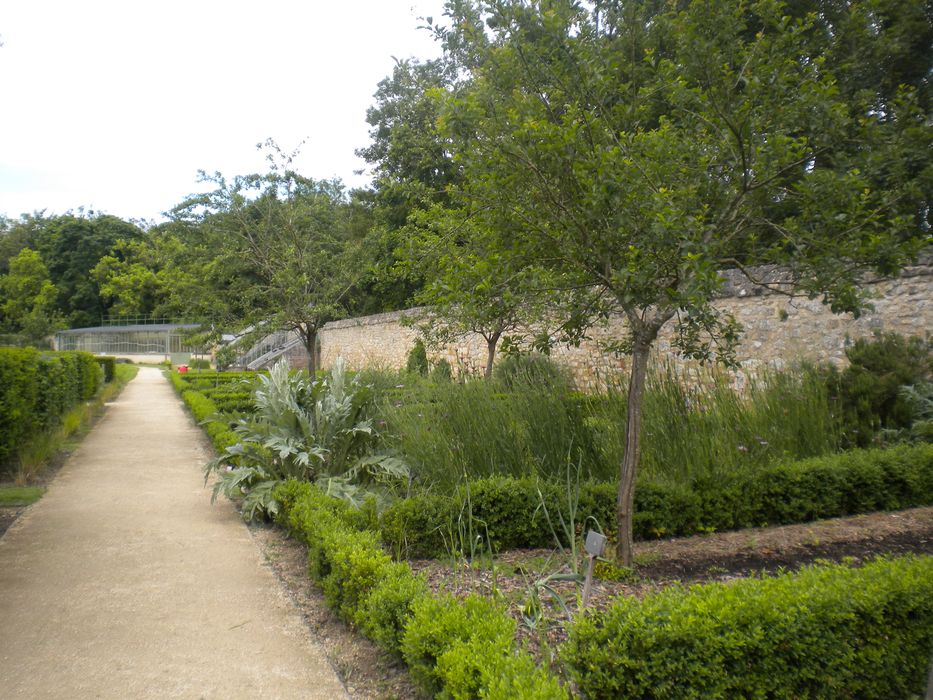 potager, vue partielle