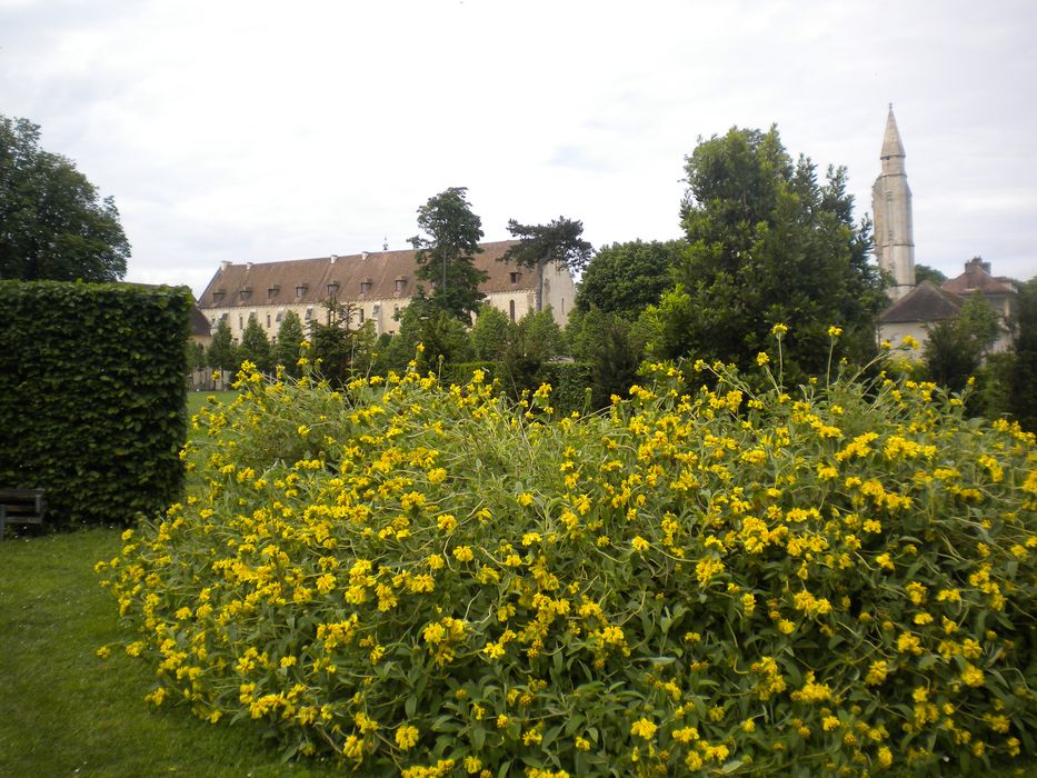 potager, vue partielle