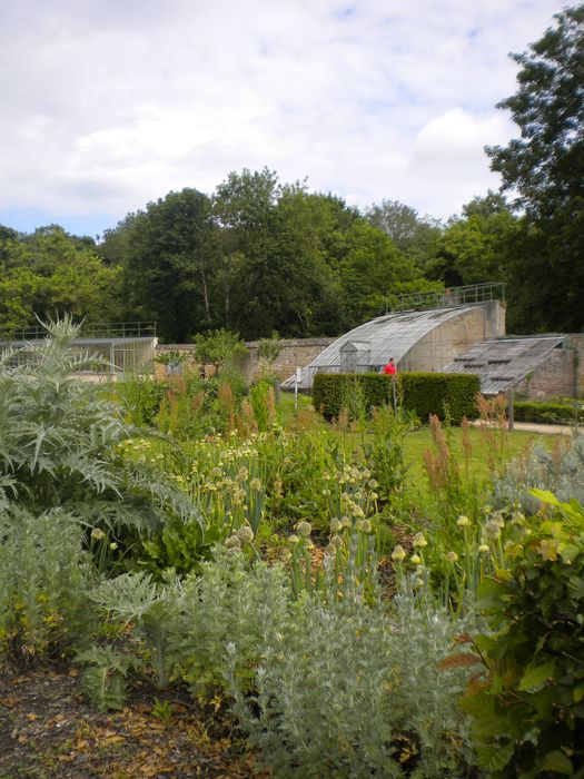 potager, vue partielle