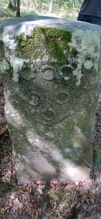 détail d’une des bornes armoriées aux armes des Prunelé