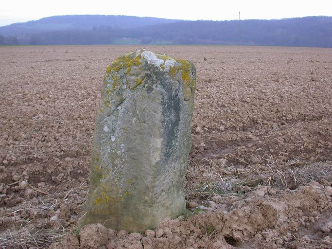 Borne n° 53 : vue de trois-quarts (croix et numéro d'ordre).