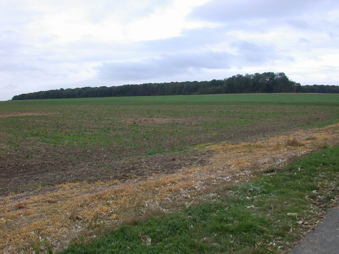 Bois des Loges, site historique de la Grande Guerre