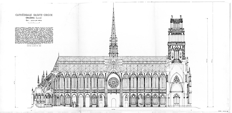 Cathédrale Sainte-Croix : coupe longitudinale