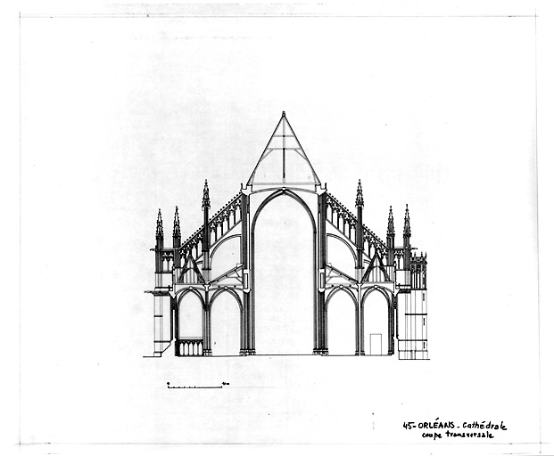 Cathédrale Sainte-Croix : coupe transversale