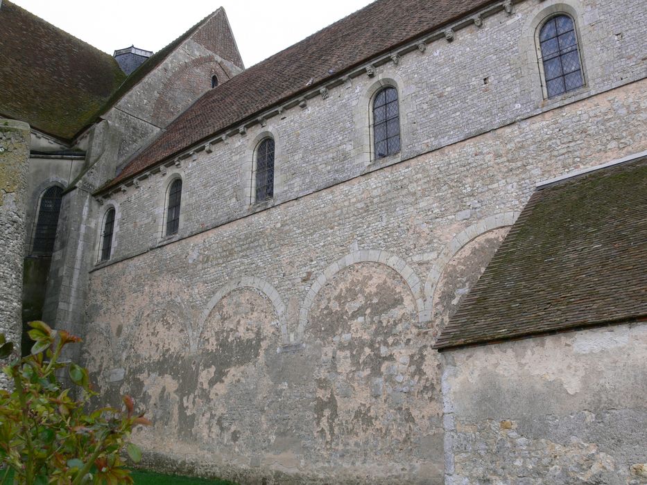 Eglise abbatiale Saint-Pierre : flanc nord, vue partielle