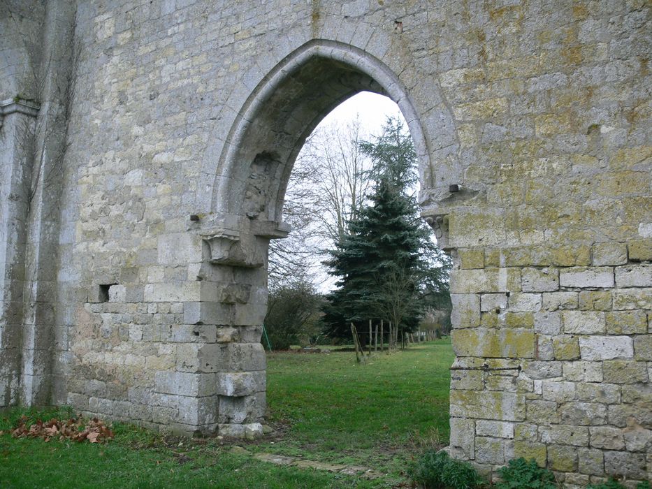 Ancienne abbaye de Notre-Dame de la Cour-Dieu : Vue partielle des ruines