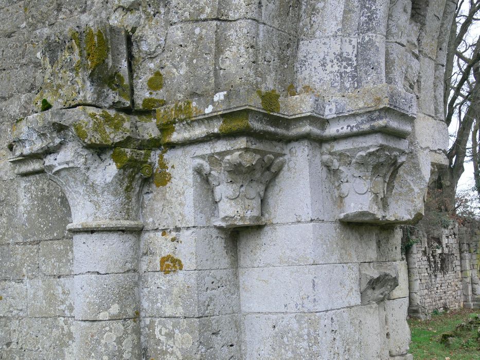 Ancienne abbaye de Notre-Dame de la Cour-Dieu : Portail, détail des chapiteaux sculptés