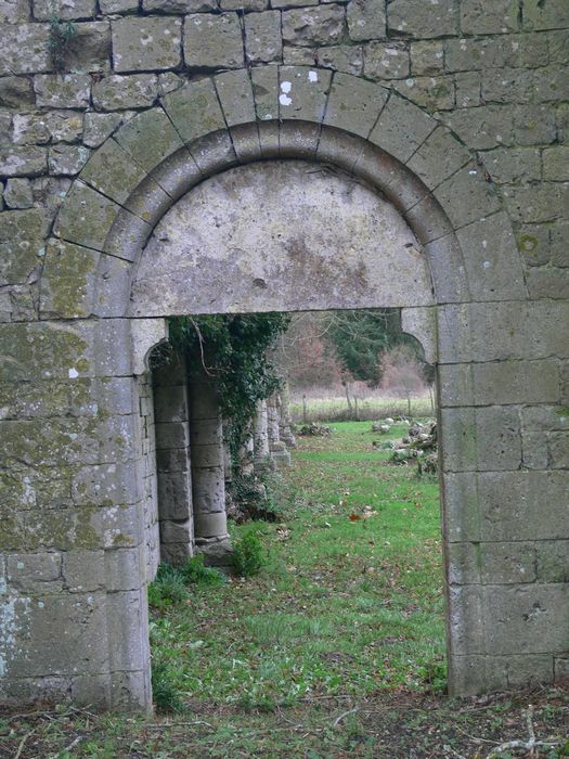 Ancienne abbaye de Notre-Dame de la Cour-Dieu : Vue partielle des ruines