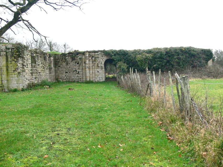 Ancienne abbaye de Notre-Dame de la Cour-Dieu : Vue générale des ruines