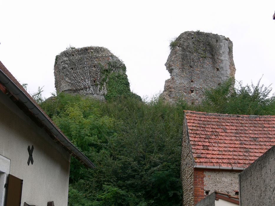 Ruines du donjon de la Motte : Vue générale des ruines