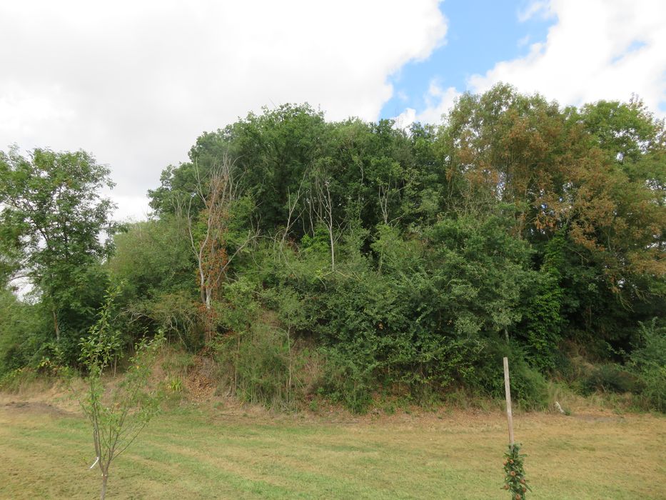 Motte castrale avec son fossé : Vue générale