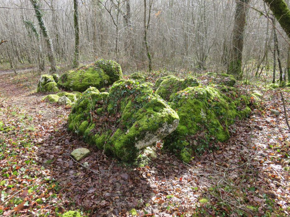 Dolmen dit La Table ou La Pierre de la Roche : Vue générale