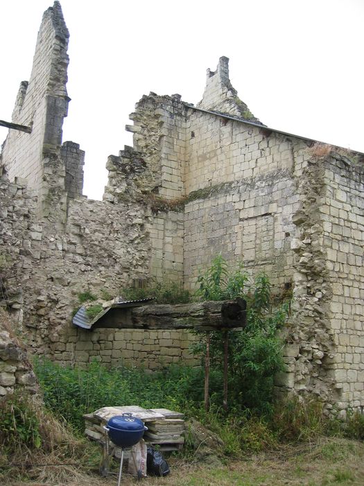 Château de Razilly : Vue partielle des parties ruinées