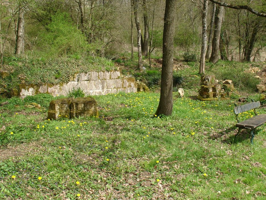 Ancienne abbaye cistercienne Notre-Dame de la Clarté-Dieu : Vue partielle des ruines