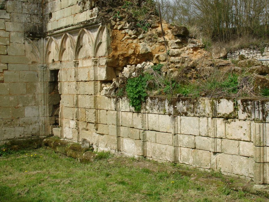 Ancienne abbaye cistercienne Notre-Dame de la Clarté-Dieu : Vue partielle des ruines