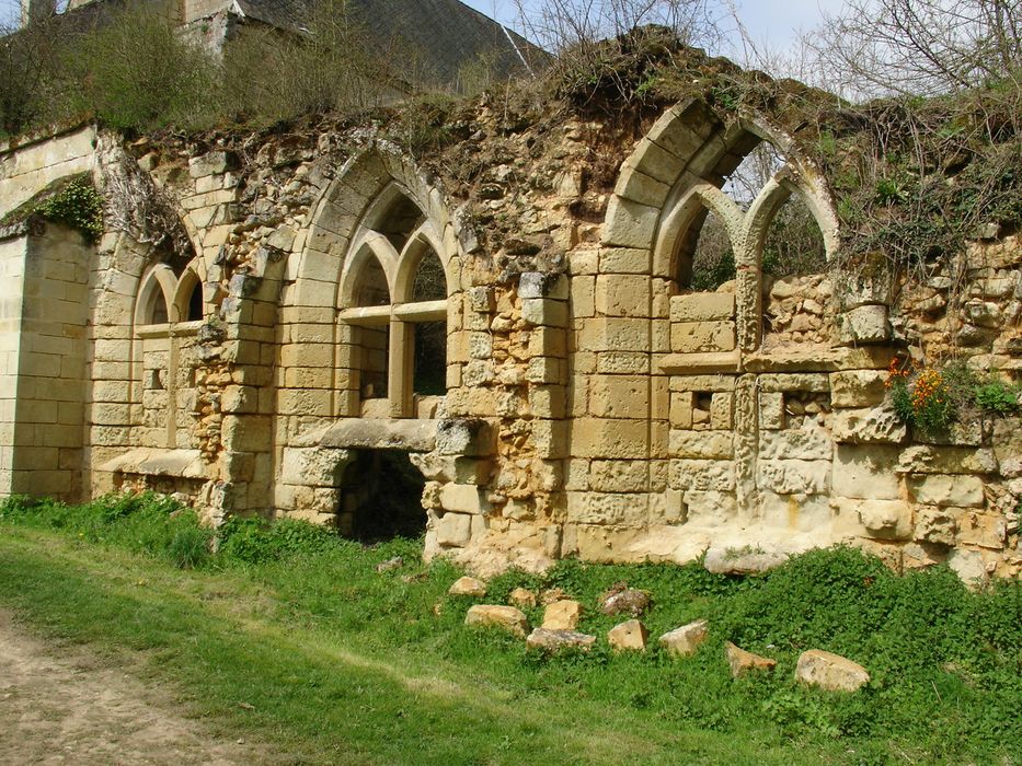 Ancienne abbaye cistercienne Notre-Dame de la Clarté-Dieu : Vue partielle des ruines