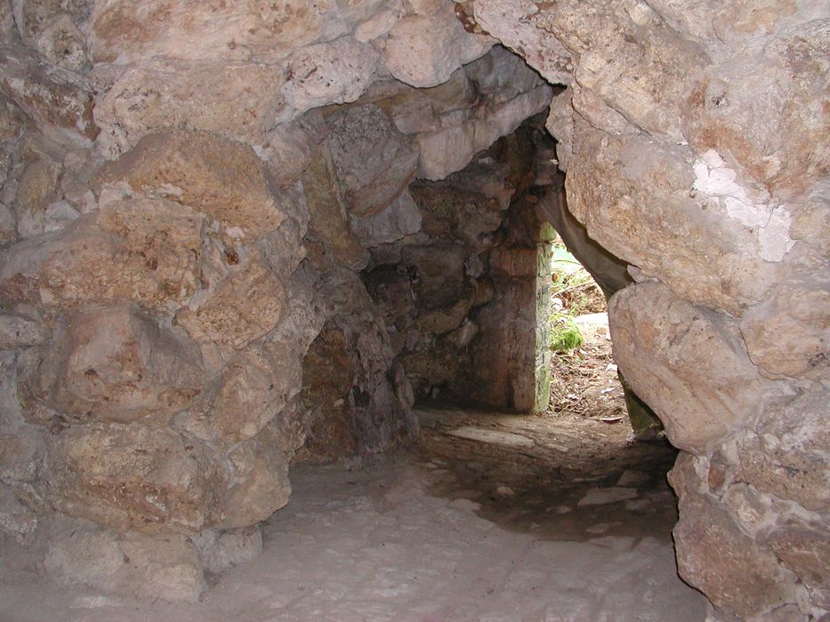 Château du Plessis-Villelouet : Grotte, vue partielle