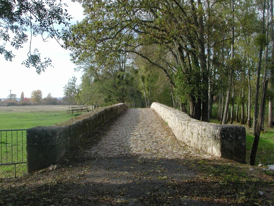 "Pont "Saint-Michel" et ponts sur le Cosson dits "chastrés" ou "chartrains" (également sur communes de Saint-Gervais-la-Forêt et Vineuil), vue partielle""