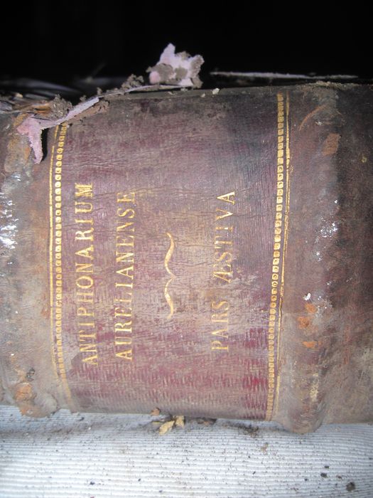 livre liturgique : Antiphonarium aurelianense, illustrissimi ac reverendissimi in Christo Patris D.D. Ludovici-Sextii de Jarente de la Bruyere, episcopi aurelianensis, regii ordinis sancti spiritus commendatoris, & c. jussu & auctoritate recens editu. Pars aestiva, détail de la tranche