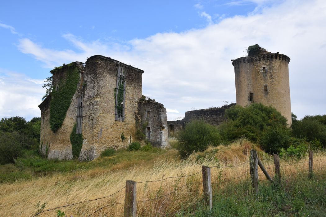 vue générale des ruines depuis le Sud-Ouest