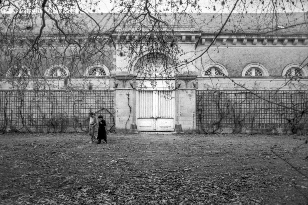 orangerie, façades sud et est