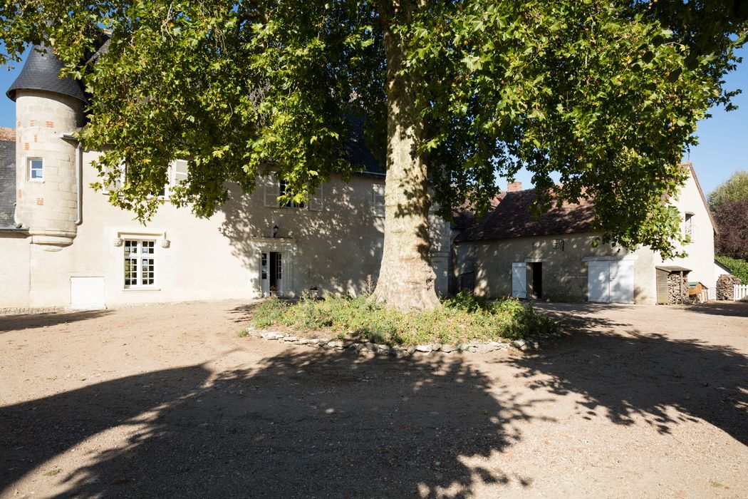 cour est avec platane centenaire, vue partielle