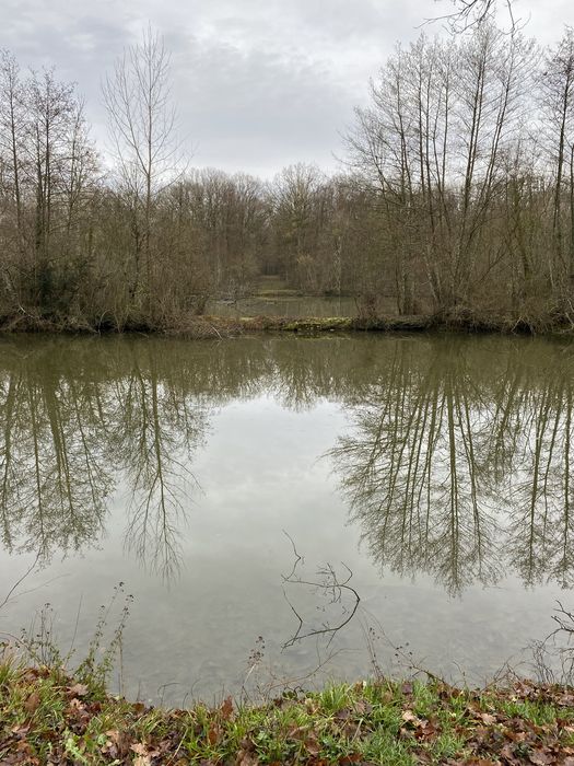 parc, vue partielle de l’étang