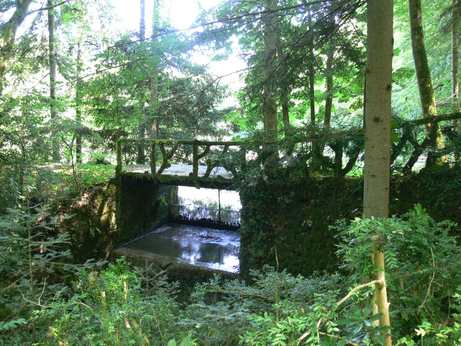 parc, vue partielle