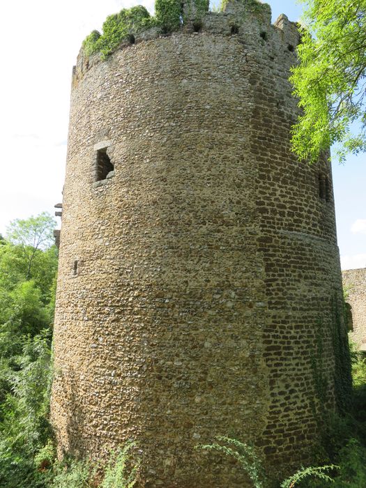 Ruines de la tour de Bois-Ruffin : Vue générale