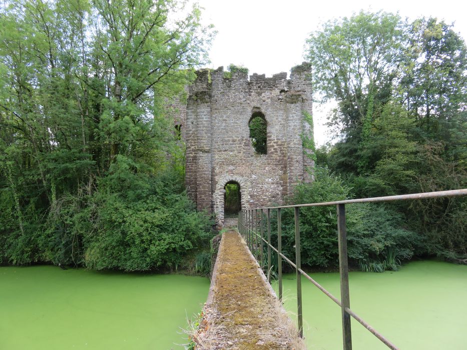 Ruines de la tour de Bois-Ruffin et ses ouvrages avancés : Porterie, vue générale