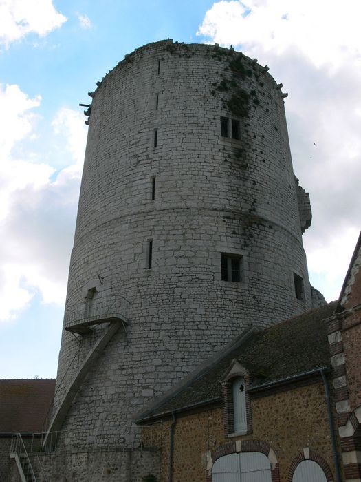 Château : Donjon, vue générale